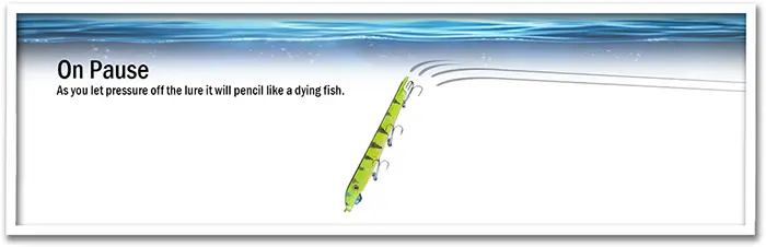 On Pause - As you let pressure off the lure it will pencil like a dying fish.